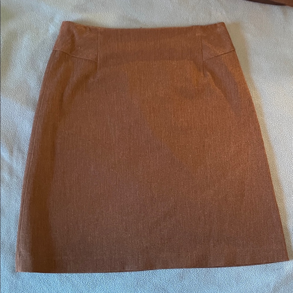 Elegant Gray Women's Skirt